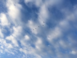 impressive winter clouds with flock of geese