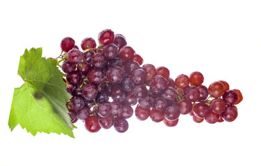 Grapes on a white background