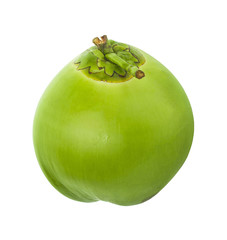 water drop green coconut isolated on white background