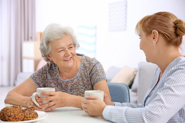 Senior woman and caregiver drinking tea at home