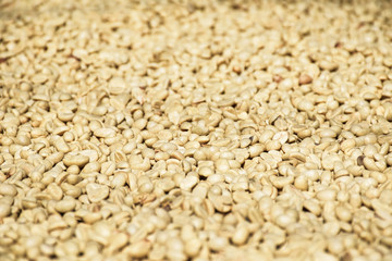 homemade raw coffee beans on drying process at highland of Thailand