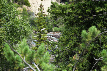 Mountain, Canyon and River