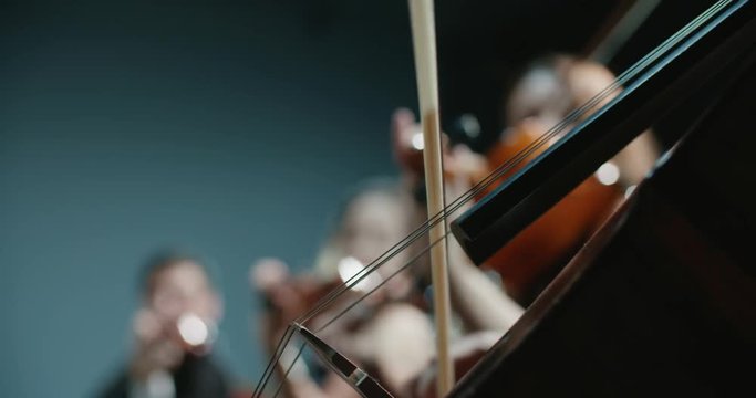 symphony orchestra performance, close-up of stringed instruments at work