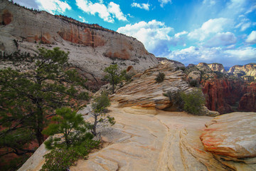 Zion National Park