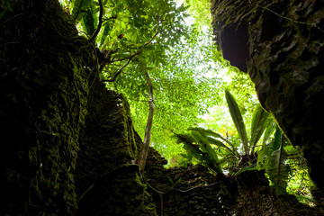 Natural stone wall in forest