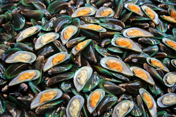 shells