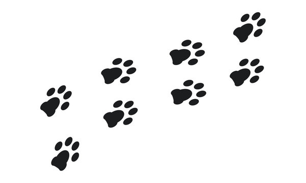 animal paw, dog Walking foot print wallpaper vector