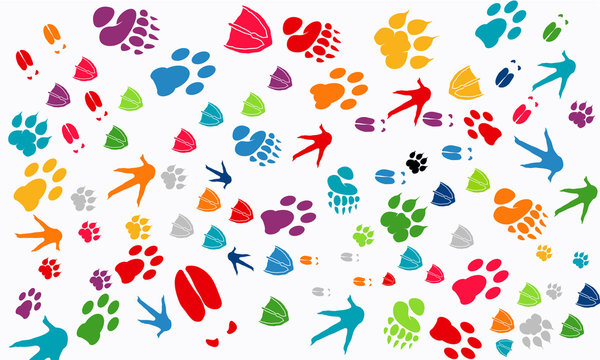 Various Animal Footprint Wallpaper texture, Deer foot, Swan foot,  Tiger Foot, Chicken foot print, Dog foot print vector