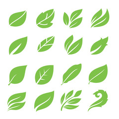 Leaves icon set. Collection of leaf logo design for green, eco, organic, food, beauty, health care brand identity. vector illustration .