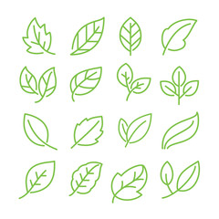 Leaves icon set. Collection of leaf logo design for green, eco, organic, food, beauty, health care brand identity. vector illustration .