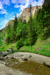 Pieniny-wąwóz Homole