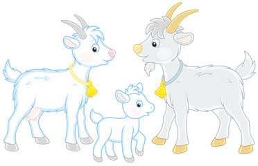 Fototapeta na wymiar A small white kid, a goat and a he-goat, a vector illustration in funny cartoon style