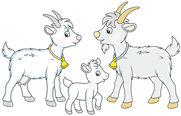 Fototapeta na wymiar A small white kid, a goat and a he-goat, a vector illustration in funny cartoon style
