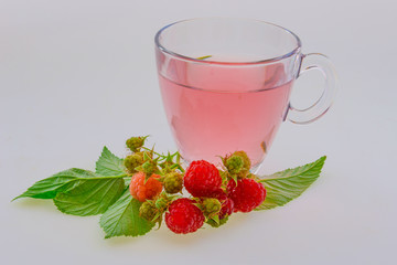 natural herbal raspberry tea
