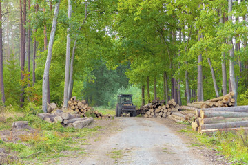 A big pile of log wood in a forest road. Forestry.