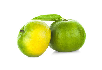 tangerine or mandarin fruit isolated on white background