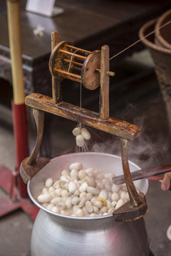 Boiling silkworm cocoon in pot