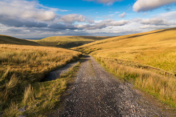 Landscape in the Brecon Beacons National Park on the way to Llyn y Fan Fach in Carmarthenshire, Dyfed, Wales, UK