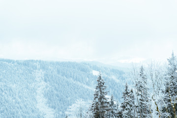 panaramic view of snowed carpathian mountains