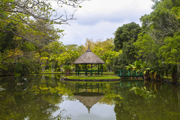 botanic park