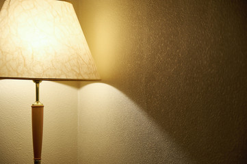 Floor lamp with soft light