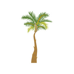 Palm tree cartoon vector Illustration