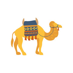 Camel whit saddle and cover on the back, two humped desert animal cartoon vector Illustration