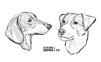 Set of portraits of dogs. Breeds Dachshund and Jack Russell Terrier. Graphical vector illustration - 187713601