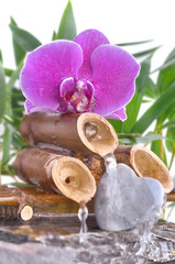 orchid on small fountain and pebble in heart shape on white background