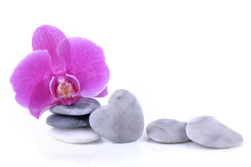 Fototapeta na wymiar orchid, pebbles, heart, stone, flower, pink, stacked, beauty, wellness, romantic, love, isolated, white, background