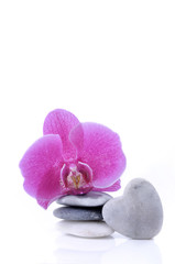 Obraz na płótnie Canvas pink orchid on pebbles stacked and pebble in heart-shaped pebble on white background