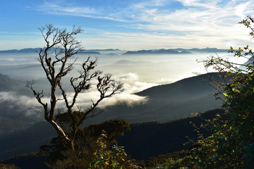 Sunrise at Adam's Peak, Sri Lanka