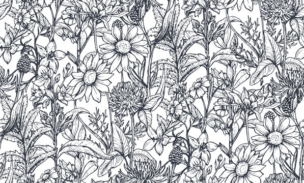 Vector seamless pattern with hand drawn herbs and flowers