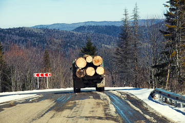 Large truck transporting wood on the road