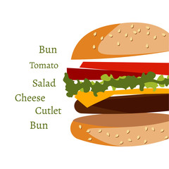 Ingredients in burger on white background
