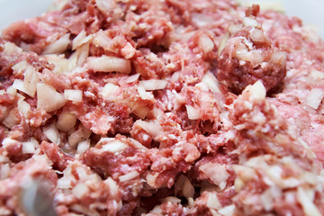 Minced meat with onion