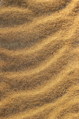 Fototapeta na wymiar a sand dunes surface