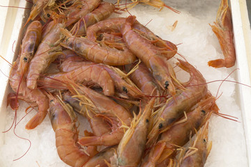 Shrimps,prawn with ice at the food market