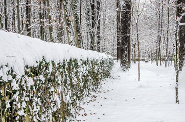 Fototapeta premium Schneemauer