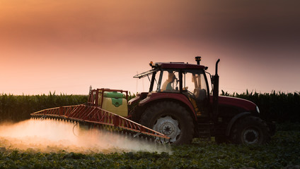 Fototapeta premium Tractor spraying pesticides on vegetable field with sprayer at spring