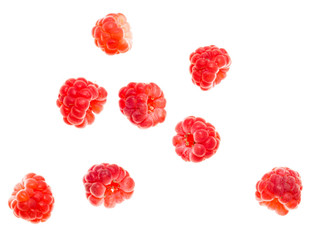Juicy red raspberries on white background © schankz