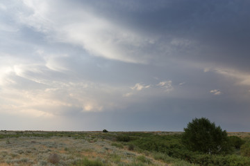 beautiful sky with clouds in the evening