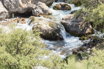 mountain river in Kazakhstan