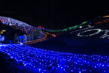 公園のイルミネーション