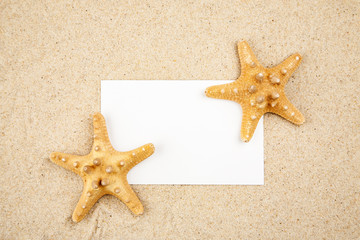 Two starfishes in the sand with blank white paper card, text space