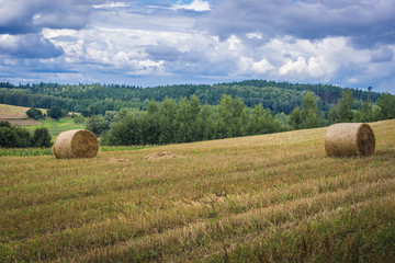 Field with bales of straw in Masuria region of Poland