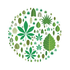 Obraz premium The leaves of different trees arranged in the shape of a circle. Design element, vector illustration, isolated on white background.