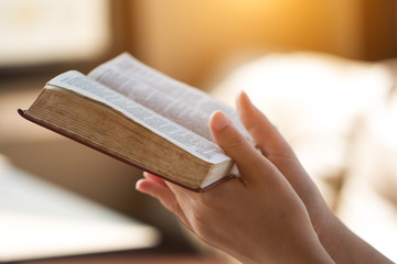 bible,women reading from the holy bible
