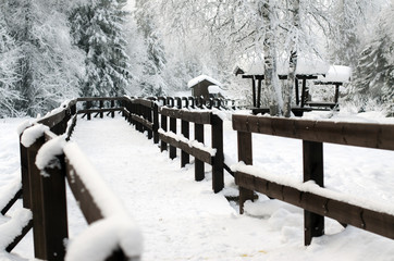 a path fenced with a wooden fence
