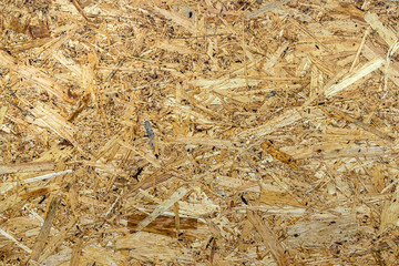 Wooden texture of the wall